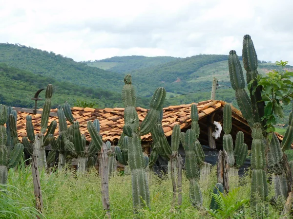 turismo minas gerais