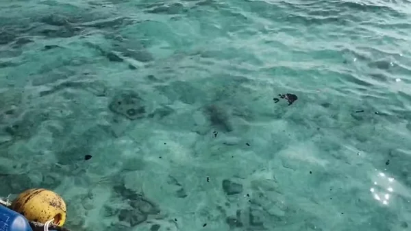 imagem colorida petroleo vaza e atinga praias da tailandia