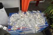 Polícia Civil encontra plantação de maconha em apartamento em Santos, no litoral de São Paulo