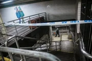 Mulher morreu após ser empurrada em frente a trem de metrô nos EUA Mulher morreu após ser empurrada em frente a trem de metrô nos EUA