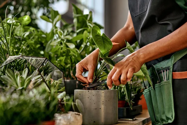 Imagem colorida de pessoa cuidando de plantas