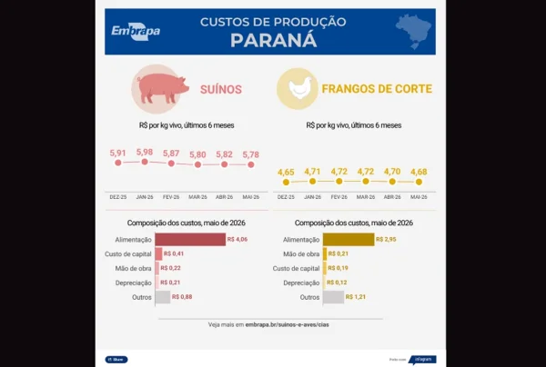 Custos de produção de suíno e frango de corte têm nova queda em maio - destaque galeria Custos de produção de suíno e frango de corte têm nova queda em maio - destaque galeria