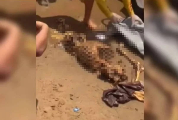 Banhistas encontram ossada em praia de Manaus