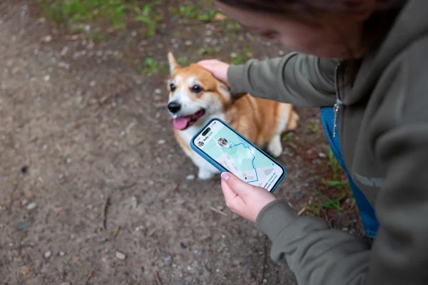 Ccahorro ao lado de mulher que está usando telefone para controlar localização do animal