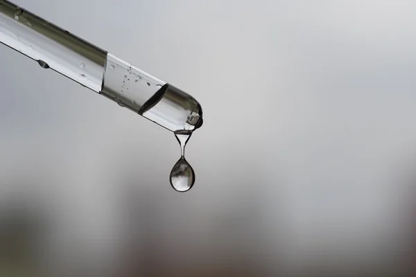 gota de remédio
