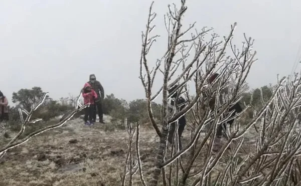 Neve cai em cidades da Serra de Santa Catarina e encanta turistas