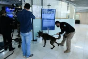 Cães policiais trabalham no Senado Federal Cães policiais trabalham no Senado Federal