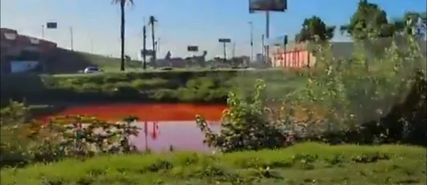 imagem colorida. "Riacho de sangue" na argentina