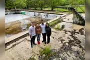 Os jardins foram projetados por Roberto Burle Marx, enquanto o mobiliário teve participação de Joaquim Tenreiro Os jardins foram projetados por Roberto Burle Marx, enquanto o mobiliário teve participação de Joaquim Tenreiro
