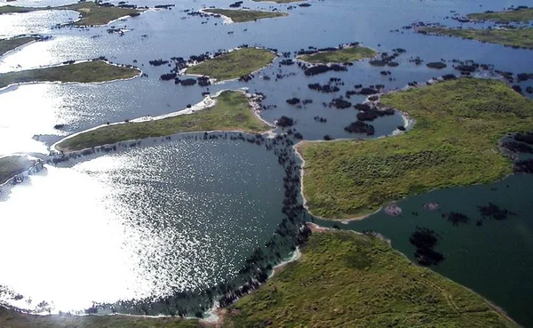 Com chuvas abaixo da média, Pantanal enfrenta seca mais cedo em 2021