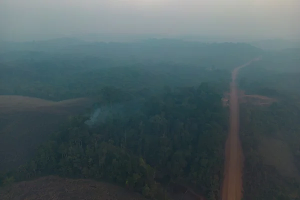 Amapá em chamas: estado registra maior número de incêndios da história