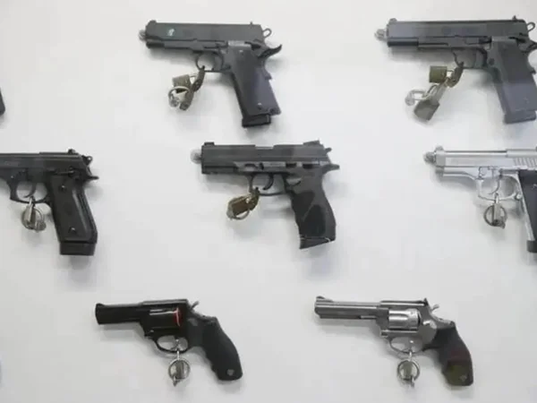 armas-recadastradas-metropoles