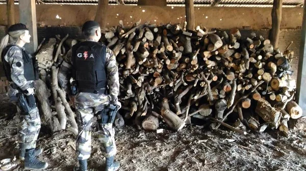 Polícia Militar fecha olaria irregular em São Sebastião