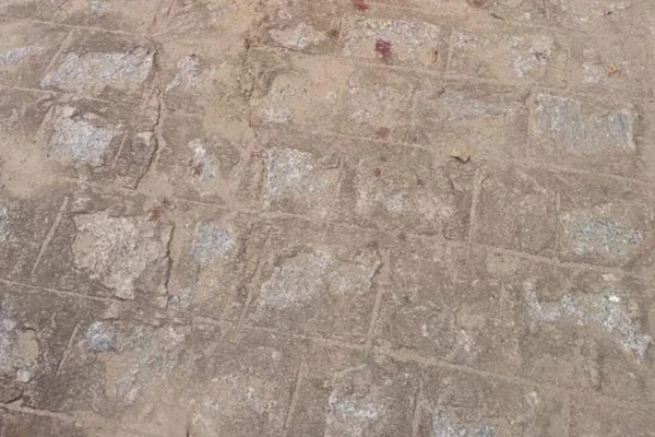 Ainda com cordão umbilical, bebê é encontrado abandonado no interior da PB
