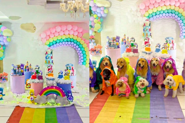 Imagem colorida de cachorros em festa temática de ursinhos carinhosos