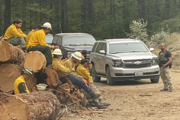 Bombeiros presos durante incêndio na reserva Bear Gulch, na Califórnia, entraram ilegalmente nos Estados Unidos
