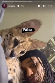 Oruam é dono de um gato Savannah F1