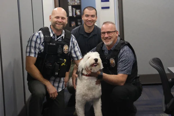 Imagem colorida de cachorro perdido com policias