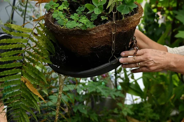 Período de chuvas exige atenção redobrada com o Aedes Aegypti