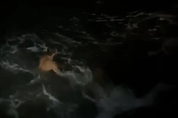 Imagem colorida, Motorista de carro roubado pula no mar para fugir da PM e acaba preso- Metrópoles