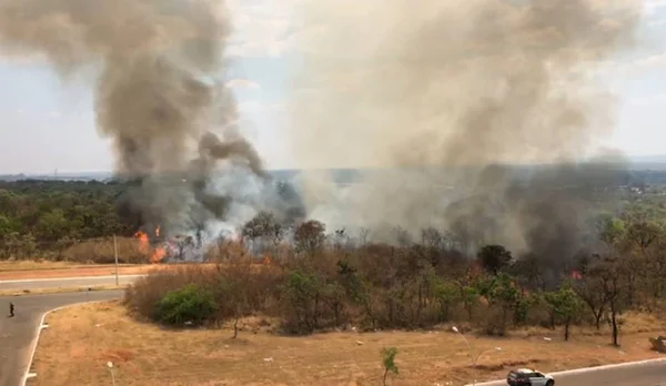 Vídeo. Incêndio atinge área perto do Setor Noroeste