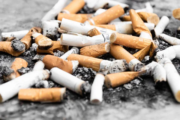 Bitucas de cigarro apagadas e amassadas no meio de cinzas - Metrópoles