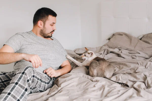 foto colorida gato batendo em homem na cama