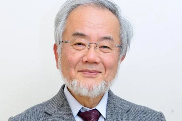Japonês que pesquisou autofagia das células ganha Nobel de Medicina