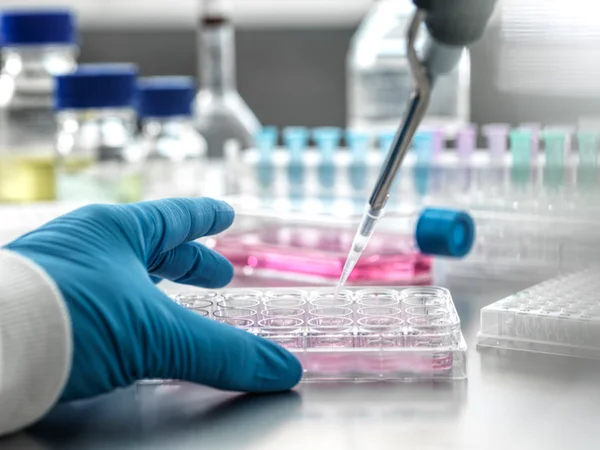 Foto mostra as mãos de cientista operando em laboratório com células-tronco