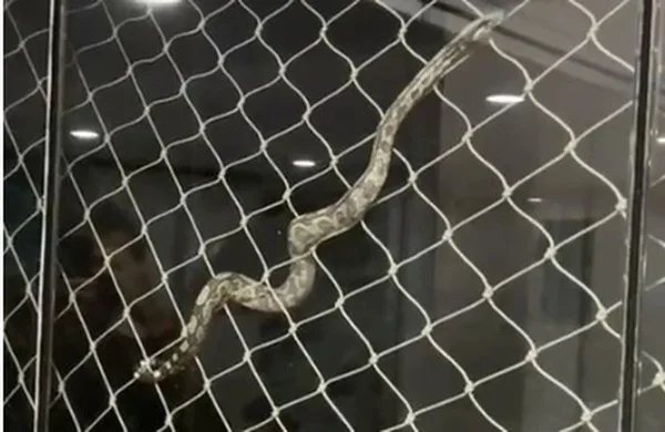 rj cobra janela apartamento