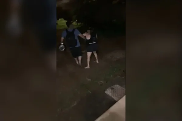 Confusão por gato vira briga com injuria racial e agressão no DF