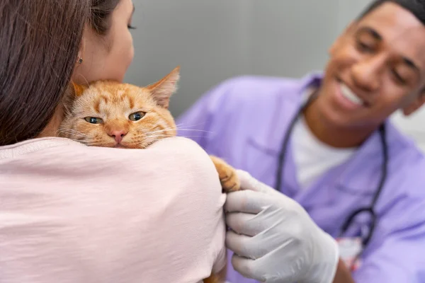 Foto colorida de pet no colo de tutor em veterinário