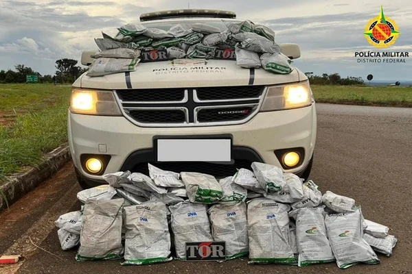 Vídeo: PM apreende quase 100kg de agrotóxicos ilegais em rodovia do DF