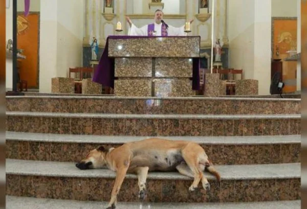 PADRE NA IGREJA COM CACHORRO NO ALTAR