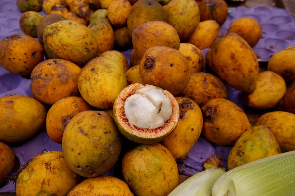 Imagem colorida de fruta nativa bacuri - Metrópoles