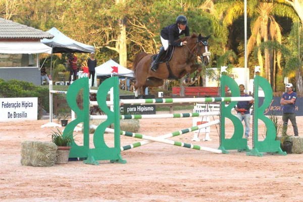 Atleta pula obstáculo em cima de cavalo - Metrópoles