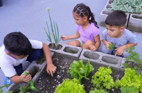 Alimentação saudável é tema da nova campanha do Idec