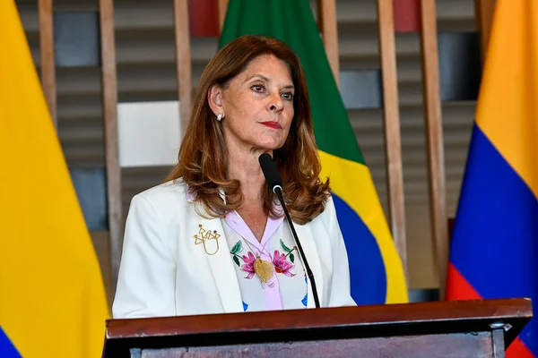 Após almoço com Mourão, chanceler colombiana rechaça “ruptura democrática”