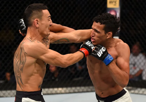 UFC: Do Bronxs volta a incitar Holloway para duelo na Casa Branca