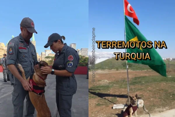 Após 9 anos no Corpo de Bombeiros, a cadela Hope se aposentou nesta segunda. Ela atuou em desabamentos, buscas, chuvas intensas e terremoto - Metrópoles