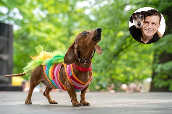 Pai de Estopinha compartilha dicas para curtir o Carnaval com os pets