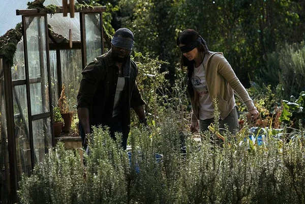 Bird Box: cinco razões que explicam o sucesso do filme da Netflix