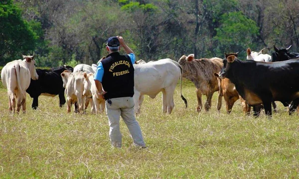 Auditores fiscais federais agropecuários anunciam paralisação