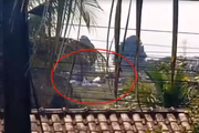 Avião de pequeno porte caiu em São José do Rio Preto, no interior de São Paulo