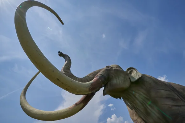 Mamutes e megafauna podem ter vivido por mais tempo que imaginávamos