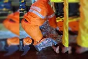 Motorista foge após atropelar mulher