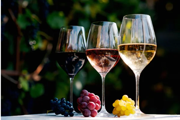 Taças de vinhos
