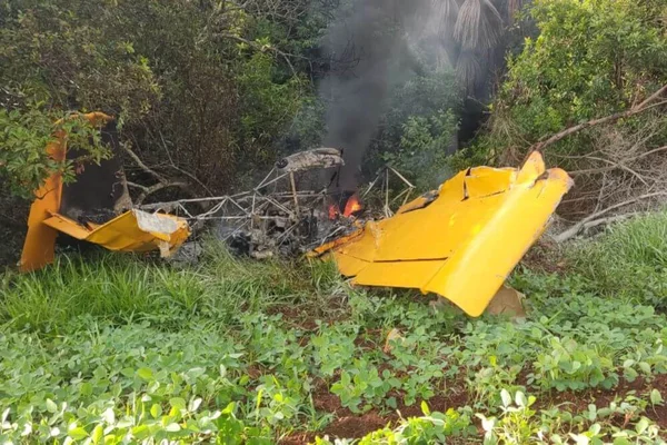 aviao agricola cai em bom jesus de goias (2) (1) - Metrópoles