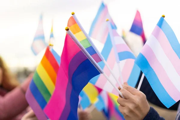 Afinal, será que todos temos tendências bissexuais?