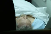 Líder do PT na Câmara sofreu AVC e permanece internado em Brasília Líder do PT na Câmara sofreu AVC e permanece internado em Brasília